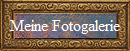 Meine Fotogalerie
