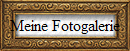 Meine Fotogalerie